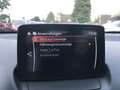 Mazda 2 SKYACTIV-G90 M Hybrid Sports-l., NAVI, LED, Weiß - thumbnail 23