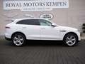 Jaguar F-Pace D300 AWD SE Blanc - thumbnail 3