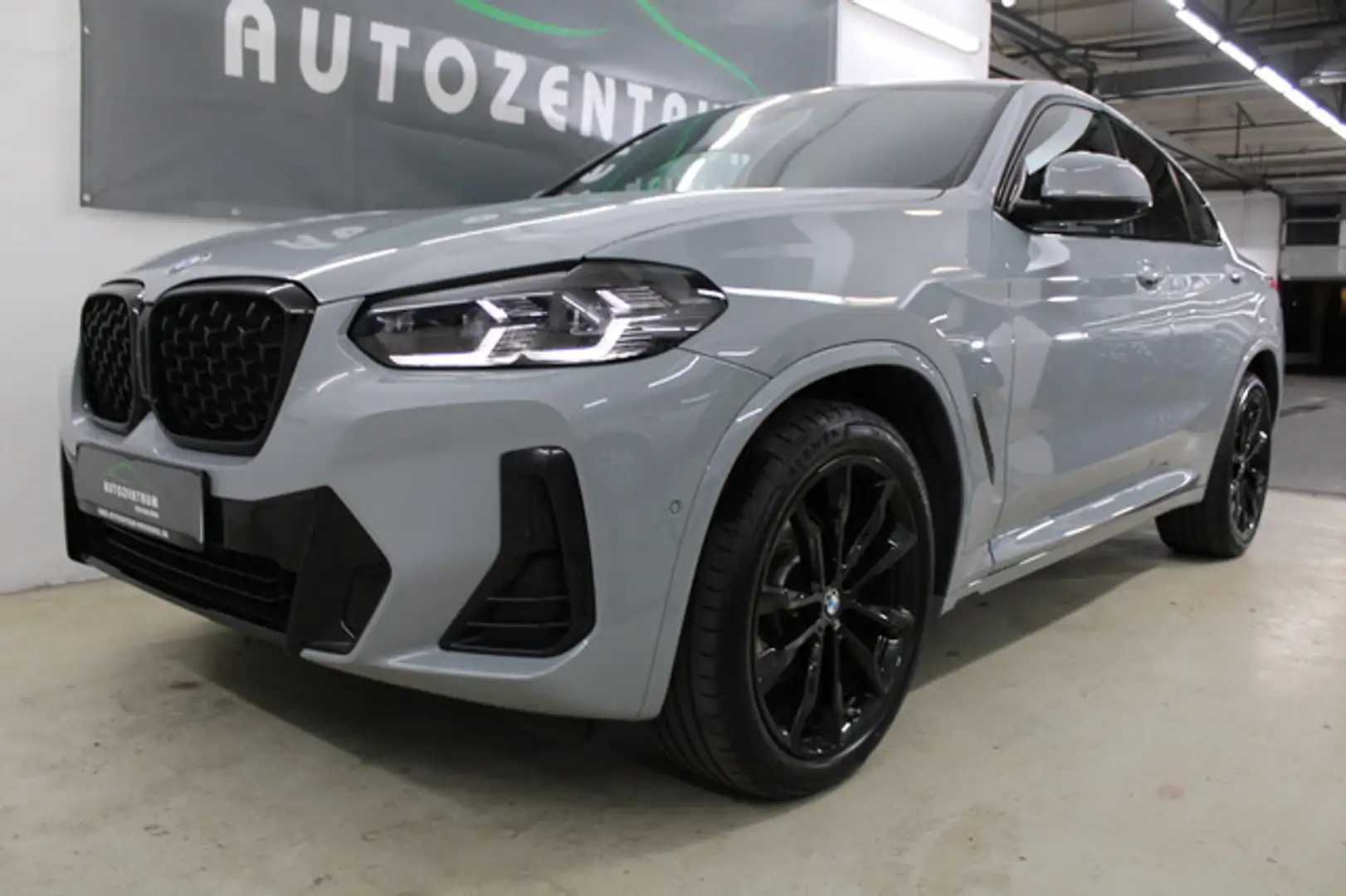 BMW X4 xDrive 20 d M Sport Edition 360°/LiveCkpt. Grau - 1