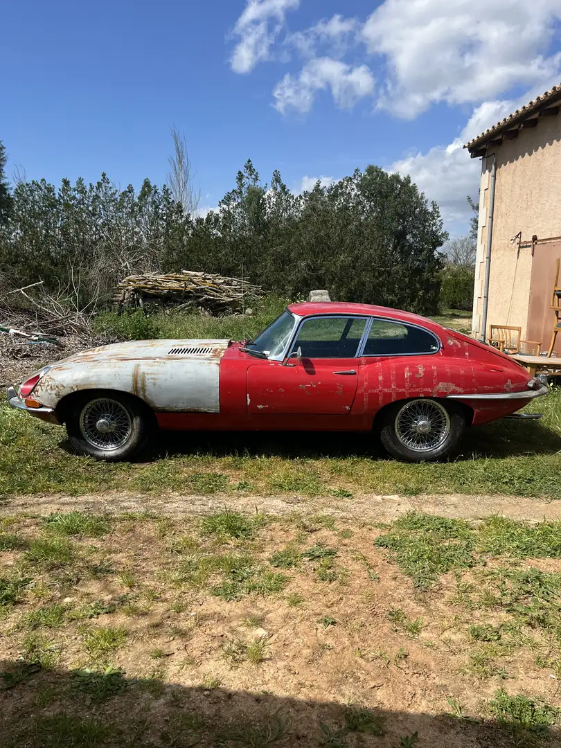 Jaguar E-Type coupé serie 1 Czerwony - 2