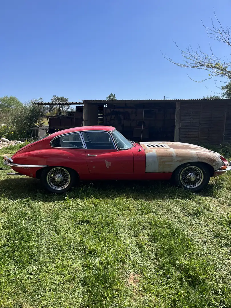 Jaguar E-Type coupé serie 1 Czerwony - 1