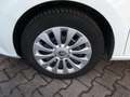 Skoda Fabia Limo Activ im TOP Zustand !!! Blanc - thumbnail 21