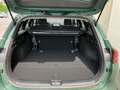 Kia Ceed SW / cee'd SW CEED SW SILBER 1.0 T-GDI 17' Alu, LED Scheinw. Verde - thumbnail 14