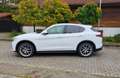 Alfa Romeo Stelvio 2.0 Turbo 16V First Edition - IM KUNDENAUFTRAG ! Weiß - thumbnail 1