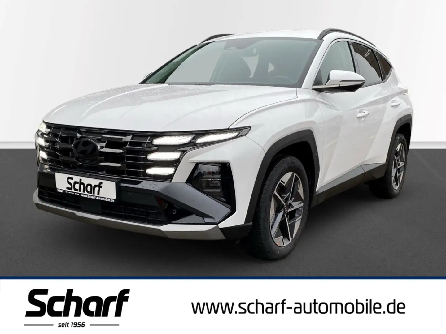 Hyundai TUCSON FL Trend HEV Navi Krell Sound System LED Weiß - 1