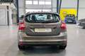 Ford Focus Lim. 1.6 Trend *PDC*Navi* Braun - thumbnail 13