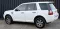 Land Rover Freelander II 2.2 sd4 S 190cv auto Blanco - thumbnail 5