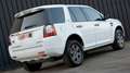 Land Rover Freelander II 2.2 sd4 S 190cv auto Blanco - thumbnail 2