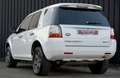 Land Rover Freelander II 2.2 sd4 S 190cv auto Blanco - thumbnail 6