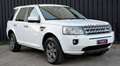 Land Rover Freelander II 2.2 sd4 S 190cv auto Blanco - thumbnail 4