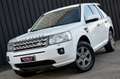 Land Rover Freelander II 2.2 sd4 S 190cv auto Blanco - thumbnail 1