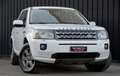Land Rover Freelander II 2.2 sd4 S 190cv auto Blanco - thumbnail 3