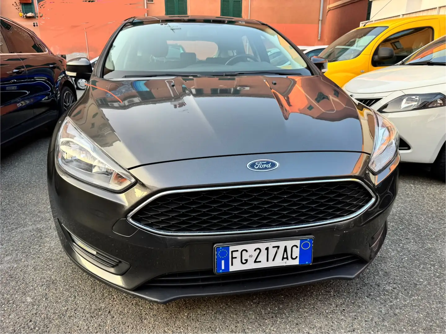 Ford Focus Focus 5p 1.5 tdci Business s Grigio - 2