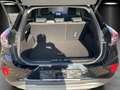 Ford Puma 1.0 EcoBoost Mild Hybrid Titnaium X Schwarz - thumbnail 13