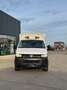 Volkswagen T5 Transporter T5 Doppelkabine Pritsche mit Plane Weiß - thumbnail 3