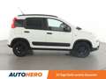Fiat Panda 1.3 M-Jet 4x4*PDC*AHK*KLIMA*GARANTIE* Blanc - thumbnail 7