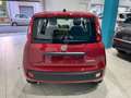 Fiat Panda KM 0 *FULL OPTIONAL *5 POSTI Rosso - thumbnail 4