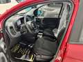 Fiat Panda KM 0 *FULL OPTIONAL *5 POSTI Rosso - thumbnail 7