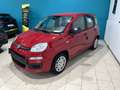 Fiat Panda KM 0 *FULL OPTIONAL *5 POSTI Rosso - thumbnail 3