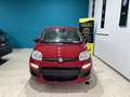 Fiat Panda KM 0 *FULL OPTIONAL *5 POSTI Rosso - thumbnail 2