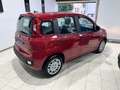 Fiat Panda KM 0 *FULL OPTIONAL *5 POSTI Rosso - thumbnail 5