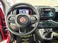 Fiat Panda KM 0 *FULL OPTIONAL *5 POSTI Rosso - thumbnail 8
