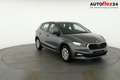 Skoda Fabia Selection 1.0 TSI Selection, Park, Winterpaket,... Gris - thumbnail 23