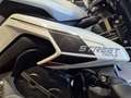 Triumph Street Triple 765 - thumbnail 3