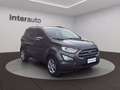 Ford EcoSport 1.5 ecoblue Plus s&s 100cv my19 Gris - thumbnail 13