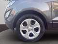 Ford EcoSport 1.5 ecoblue Plus s&s 100cv my19 Gris - thumbnail 14