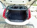 Ford Fiesta 3p 1.4 16v Gpl Titanium Business - thumbnail 6