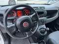 Fiat Panda 1.3 mjt  80cv Van 2 Posti - thumbnail 5