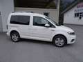 Volkswagen Caddy 2,0 TDI DSG Austria 4motion Weiß - thumbnail 4