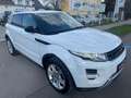 Land Rover Range Rover Evoque Dynamic 2,2 SD4 Aut.  !!! VIGNETTE,VOLLTANK UND... Weiß - thumbnail 7