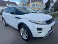 Land Rover Range Rover Evoque Dynamic 2,2 SD4 Aut.  !!! VIGNETTE,VOLLTANK UND... Weiß - thumbnail 6