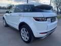 Land Rover Range Rover Evoque Dynamic 2,2 SD4 Aut.  !!! VIGNETTE,VOLLTANK UND... Weiß - thumbnail 11