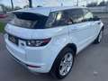 Land Rover Range Rover Evoque Dynamic 2,2 SD4 Aut. Weiß - thumbnail 9