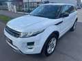 Land Rover Range Rover Evoque Dynamic 2,2 SD4 Aut.  !!! VIGNETTE,VOLLTANK UND... Weiß - thumbnail 3
