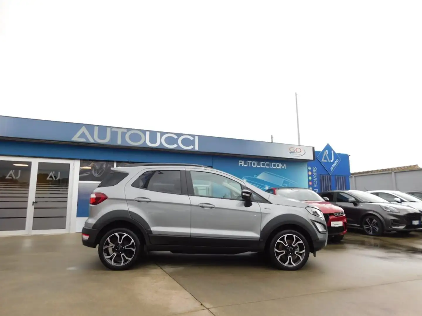 Ford EcoSport 1.0 EcoBoost Active  125 CV Grigio - 2