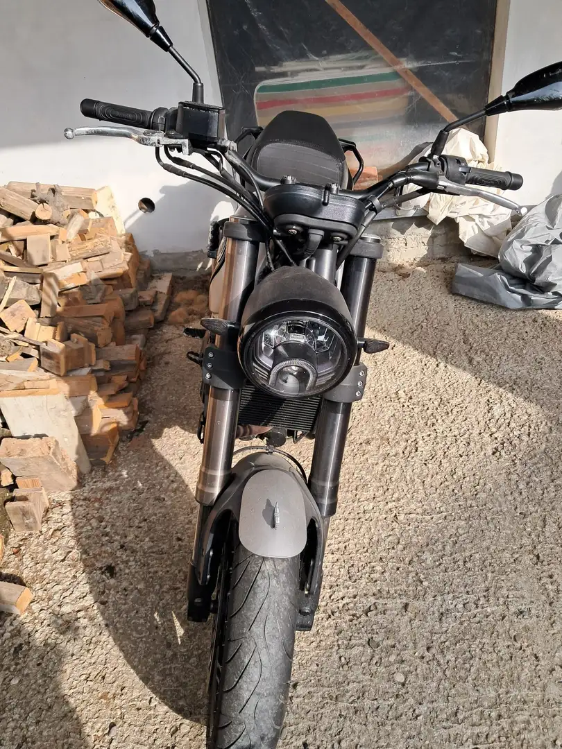 Benelli Leoncino Piega bassa Gris - 1
