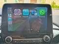 Ford Fiesta 1.1 75 CV GPL 5p. Connect Beige - thumbnail 24