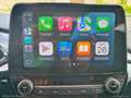 Ford Fiesta 1.1 75 CV GPL 5p. Connect Beige - thumbnail 23