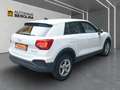 Audi Q2 35 TFSI *R-CAM*PDC+*LED*Virt.C*KLIMA* Weiß - thumbnail 3