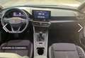 CUPRA Leon 1.5 tsi 150cv ACT Bianco - thumbnail 7