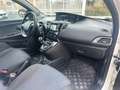 Lancia Ypsilon 1.2 69 CV 5 porte Gold Bianco - thumbnail 13