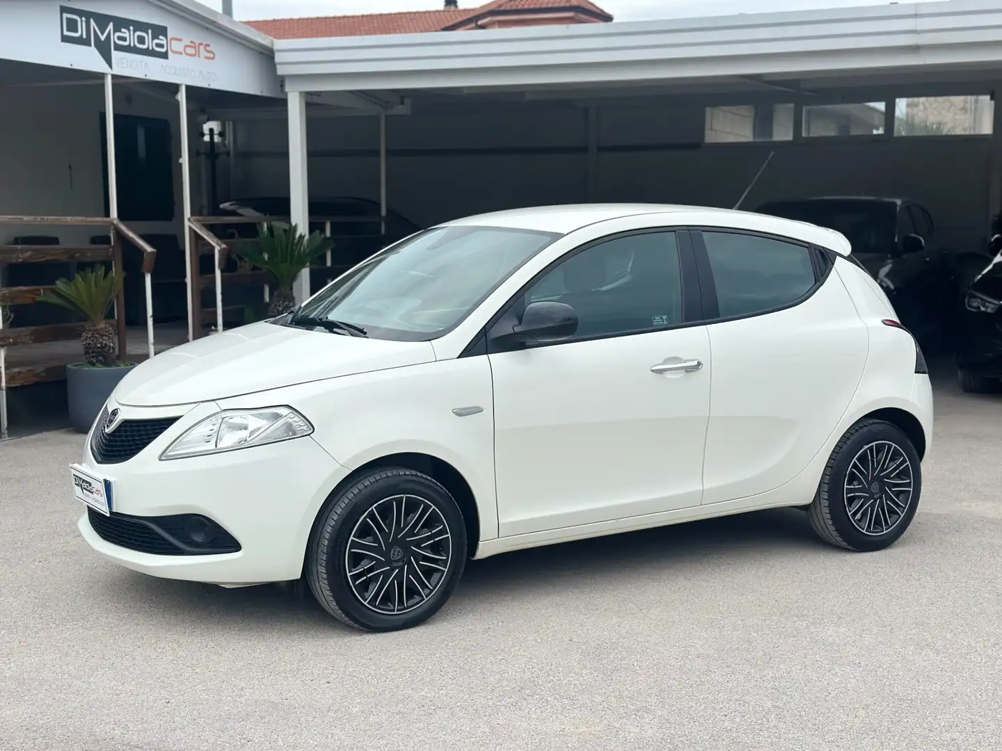 Lancia Ypsilon 1.2 69 CV 5 porte Gold Bianco - 2