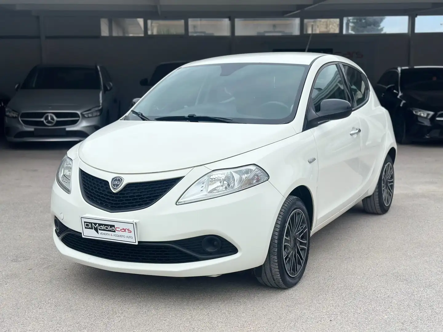 Lancia Ypsilon 1.2 69 CV 5 porte Gold Bianco - 1