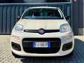Fiat Panda Panda III 1.2 Easy easypower Gpl 69cv Neopatentati Beige - thumbnail 2