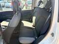 Fiat Panda Panda III 1.2 Easy easypower Gpl 69cv Neopatentati Beige - thumbnail 11