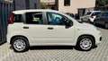 Fiat Panda Panda III 1.2 Easy easypower Gpl 69cv Neopatentati Beige - thumbnail 5